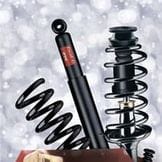 С наступающим Новым Годом и Рождеством!